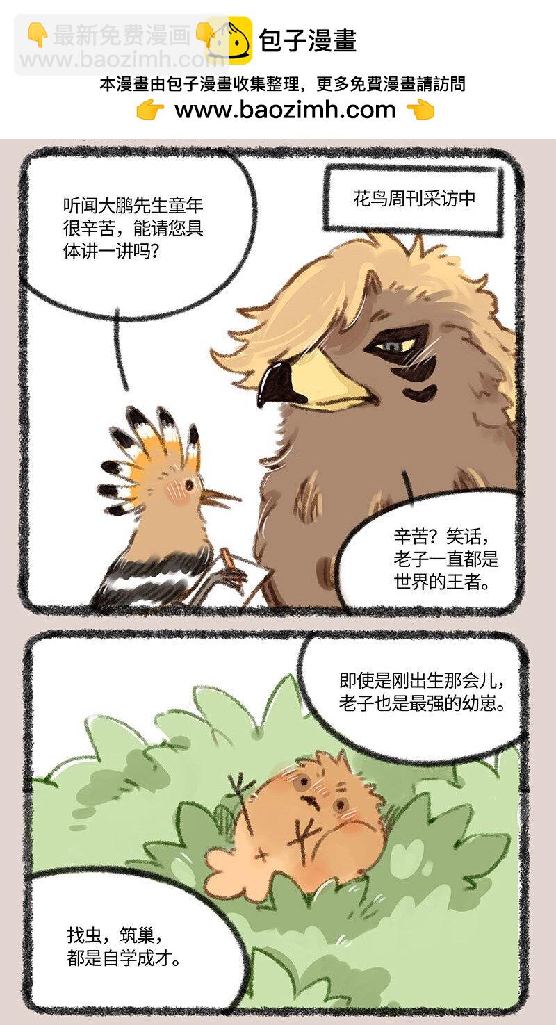 410 金翅大鹏和孔雀1