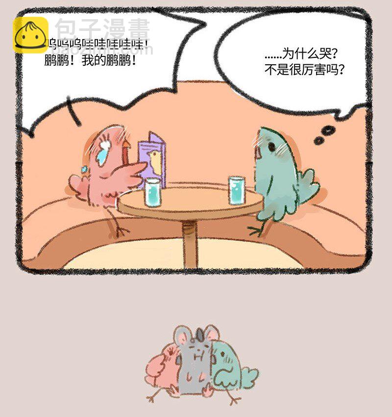 410 金翅大鹏和孔雀3