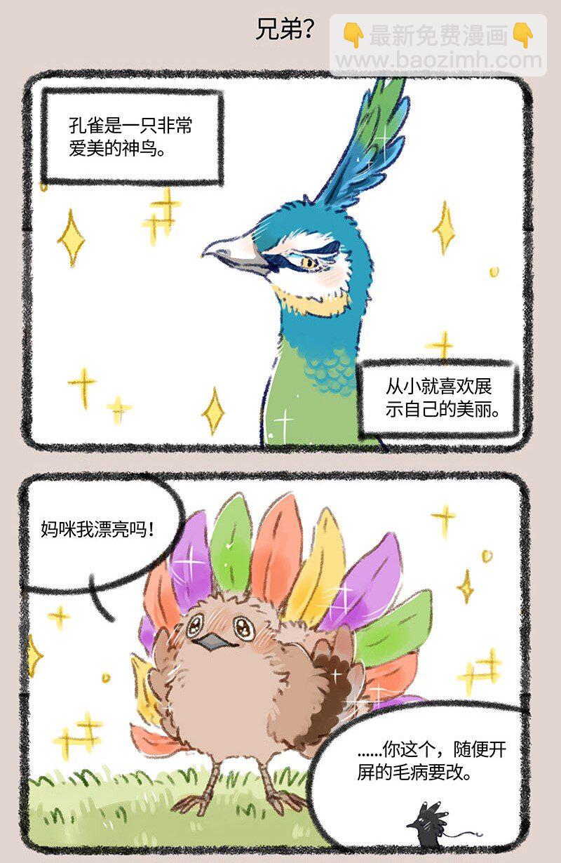 410 金翅大鹏和孔雀4
