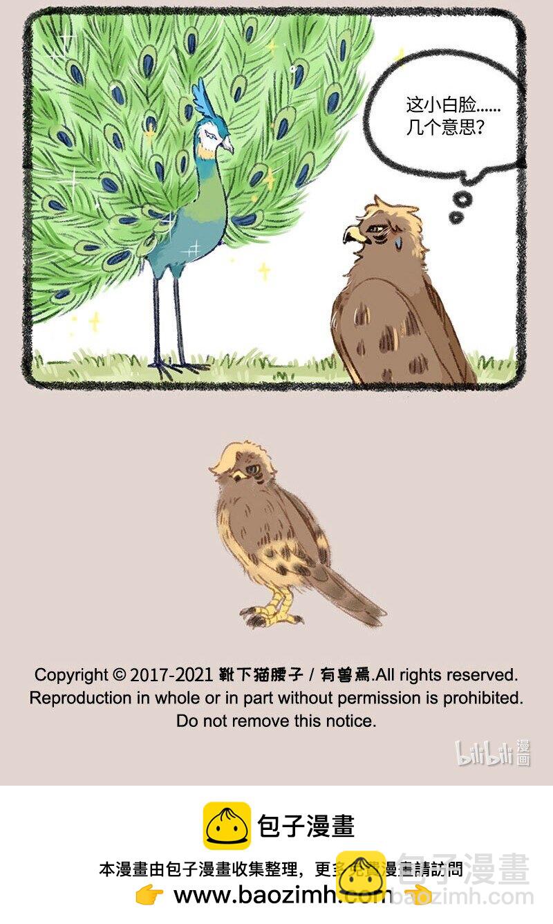 410 金翅大鹏和孔雀6