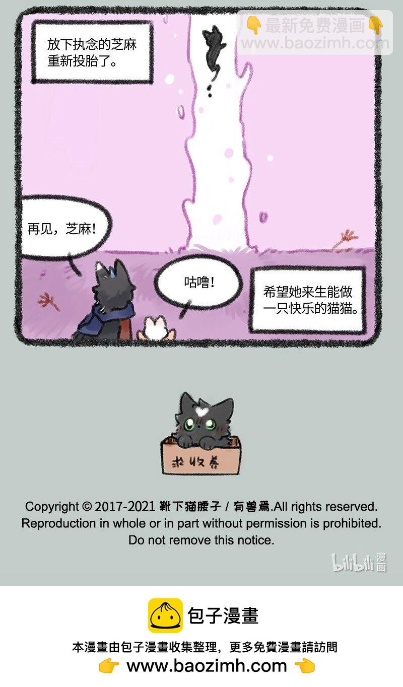 421 再见啦芝麻6