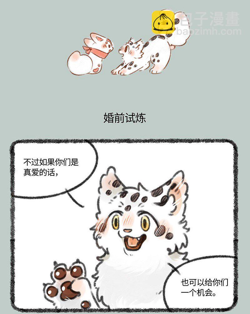 429 翔太的婚前试炼3