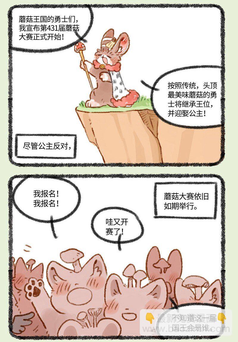 431 蘑菇传说2