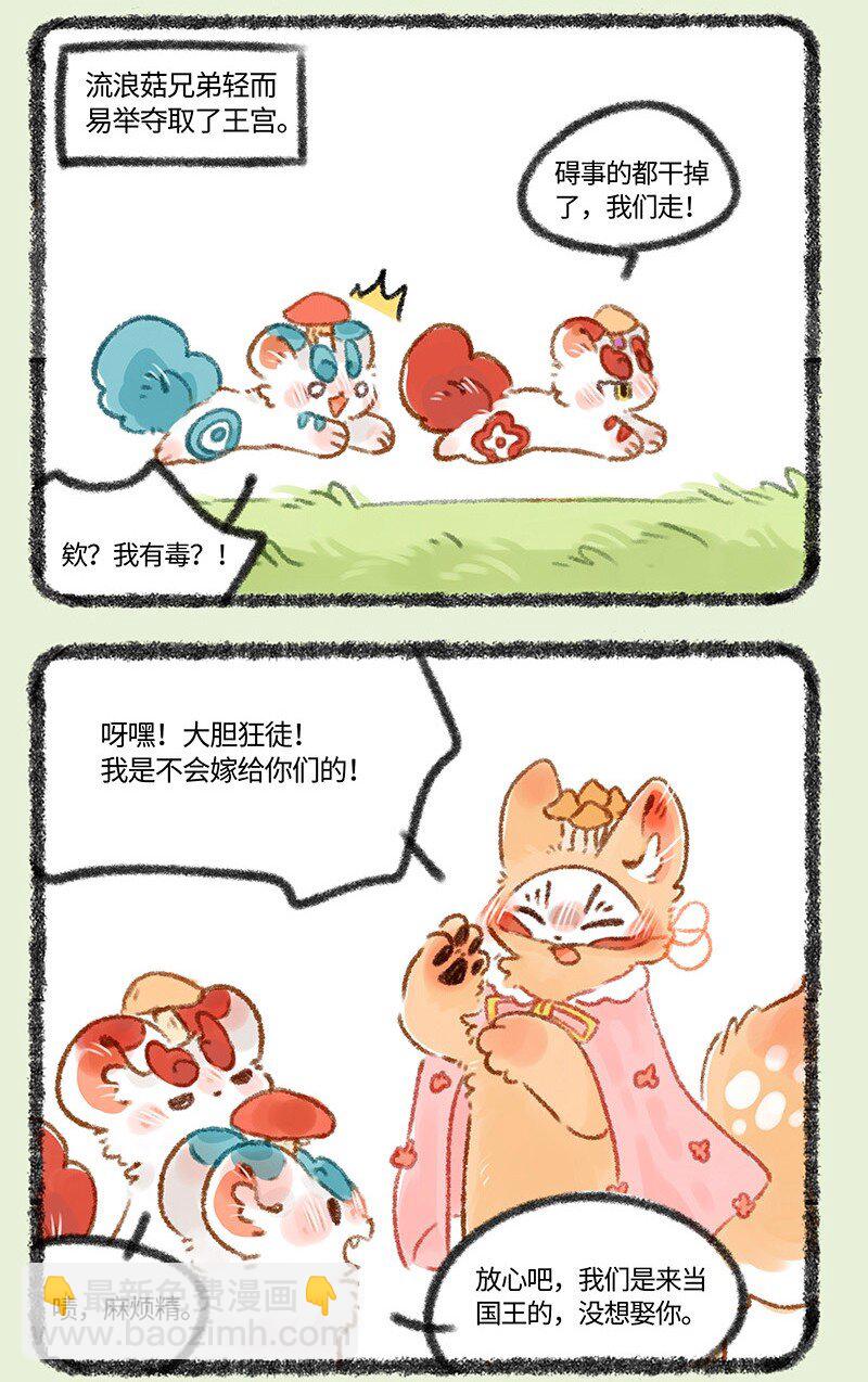 431 蘑菇传说5