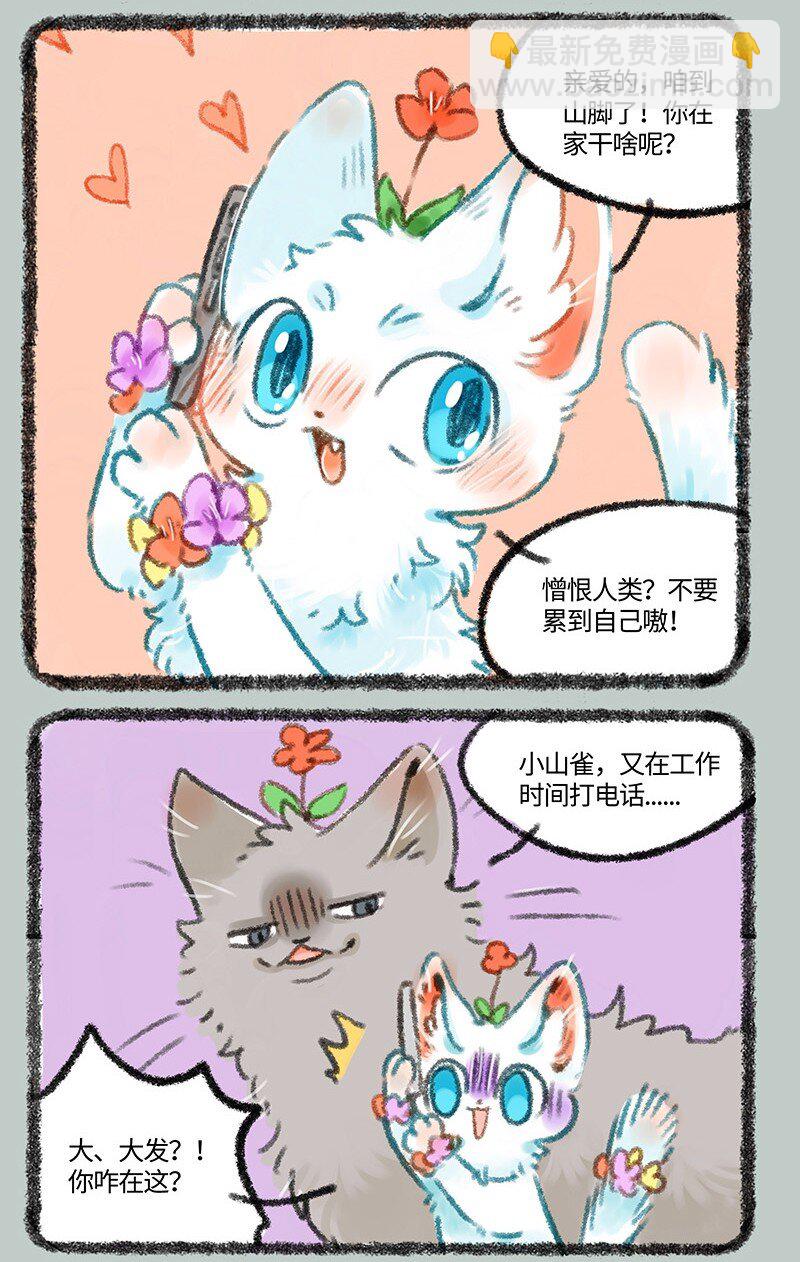 439 被迫分居2