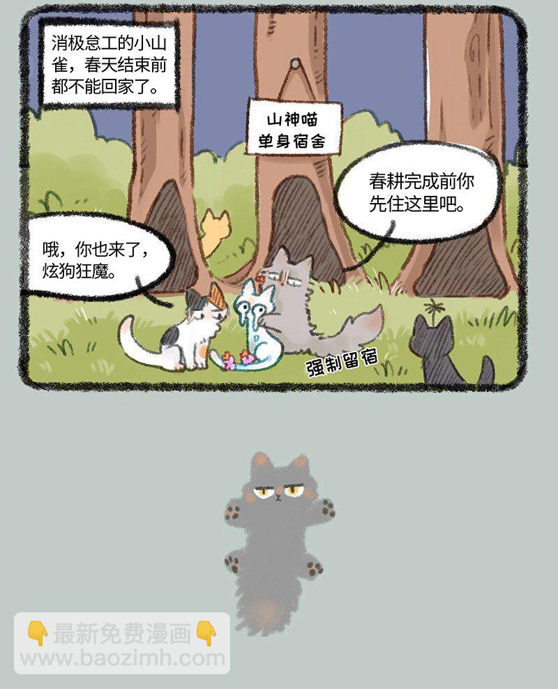 439 被迫分居3