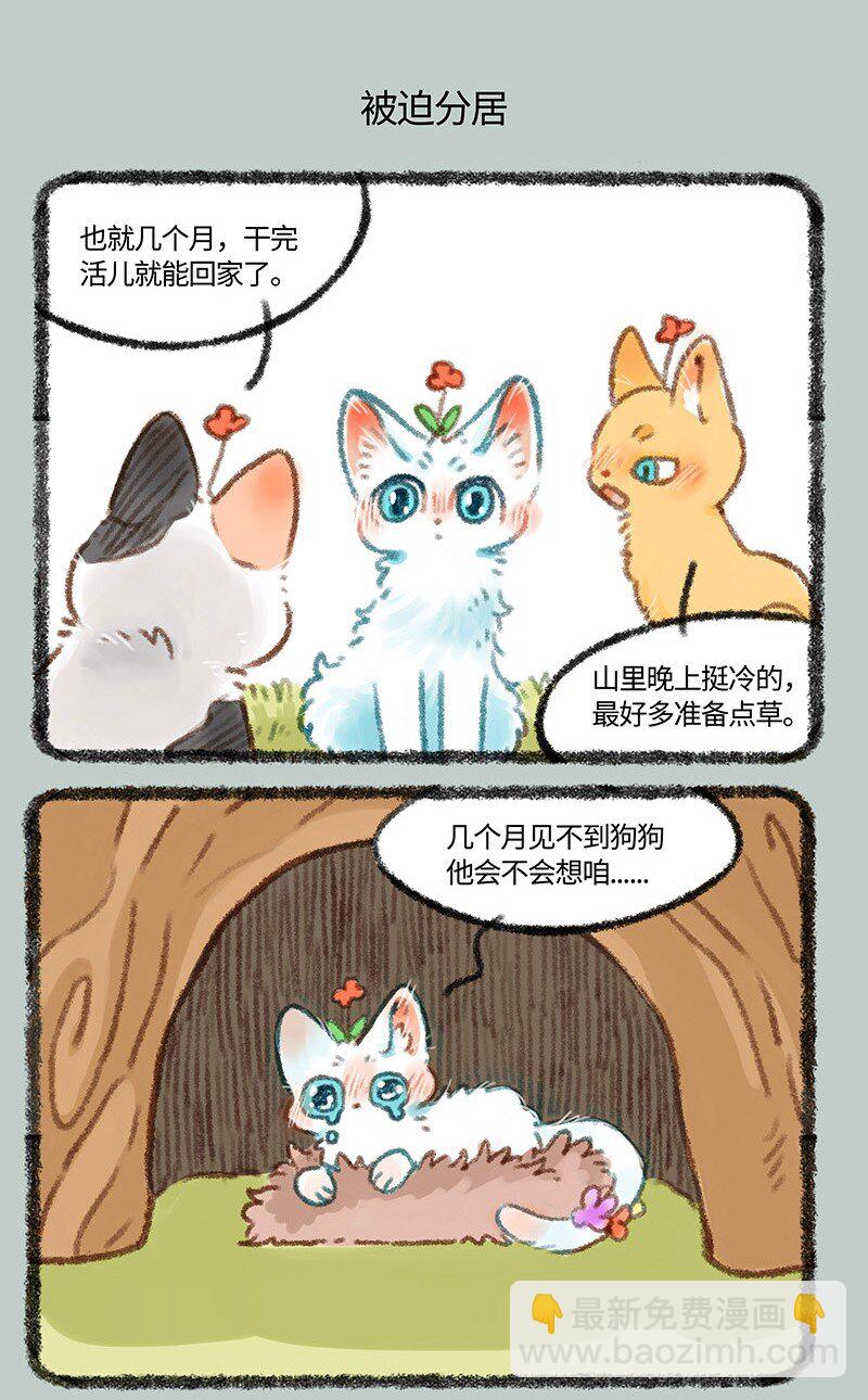 439 被迫分居4