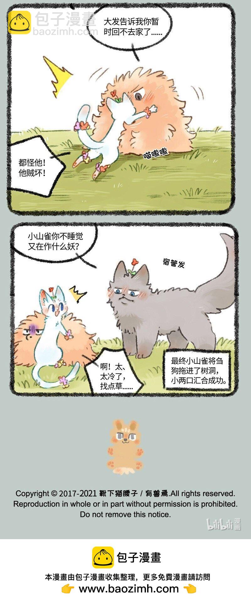 439 被迫分居6