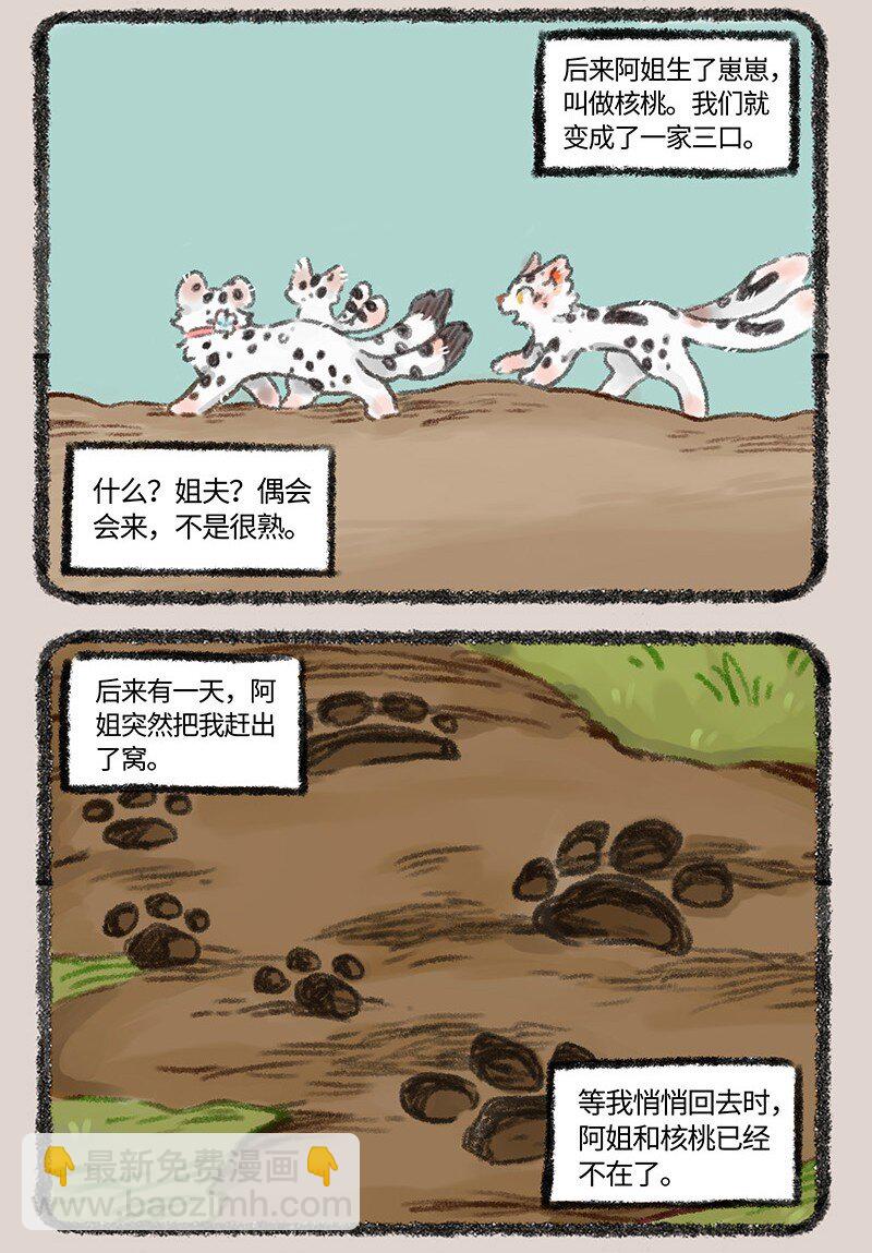 462 聚散终有时2