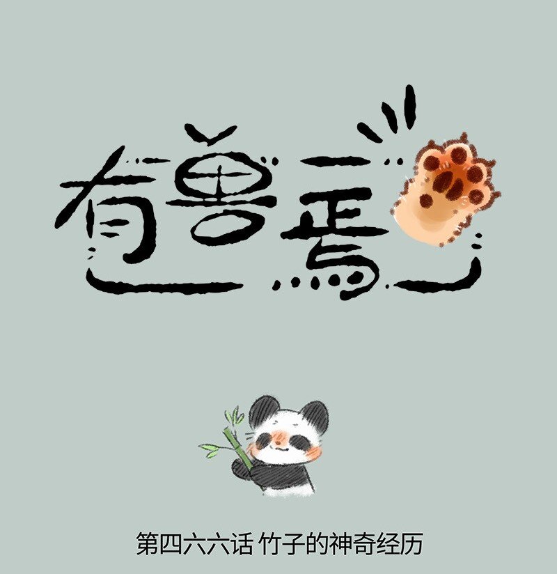 466 大型剧透现场0