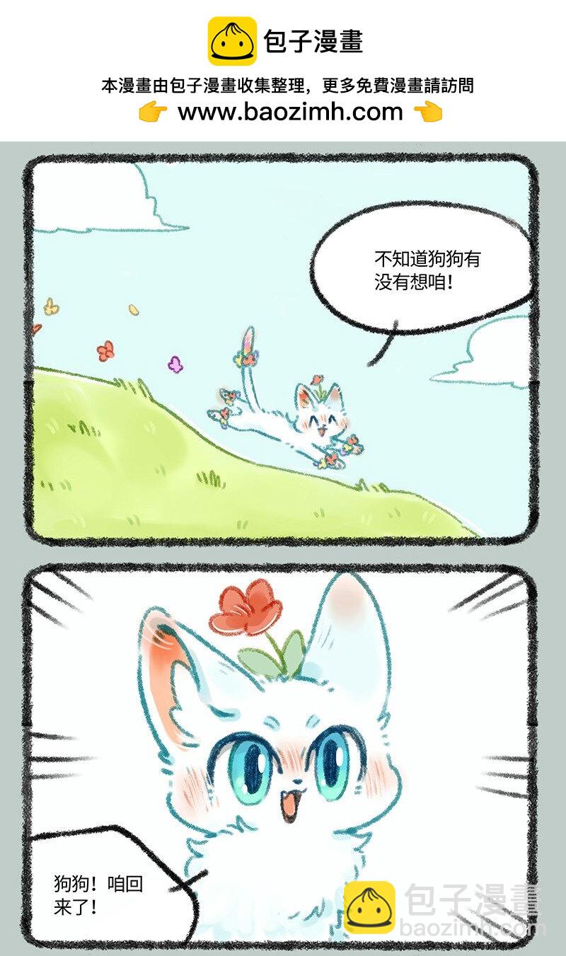 478 小山雀喜当爹1