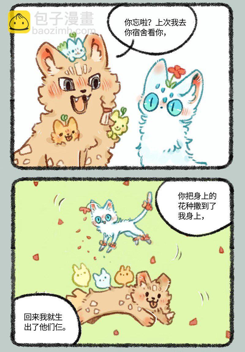 478 小山雀喜当爹4