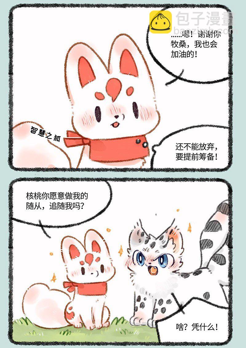 492 福仔的理想型5