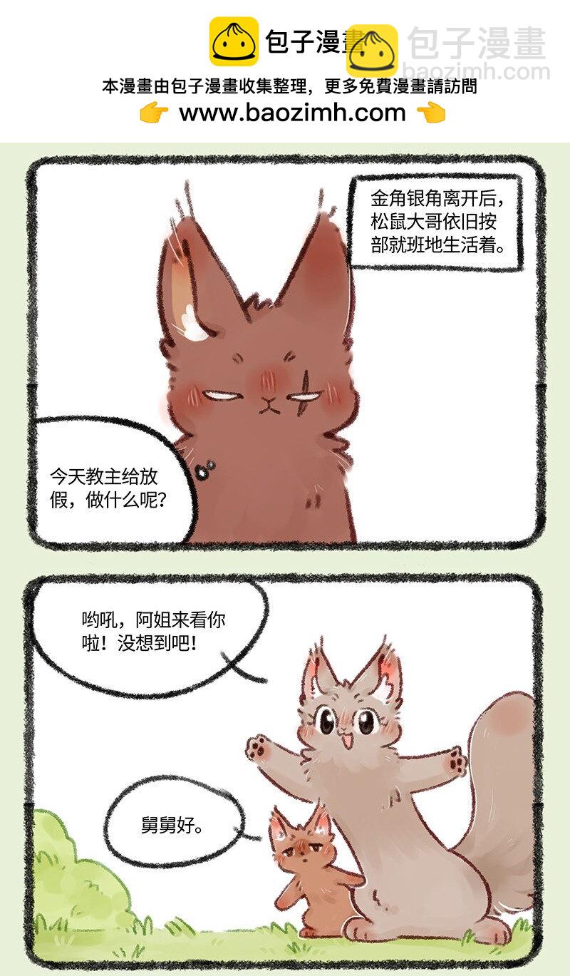 493 松鼠大哥的近况1