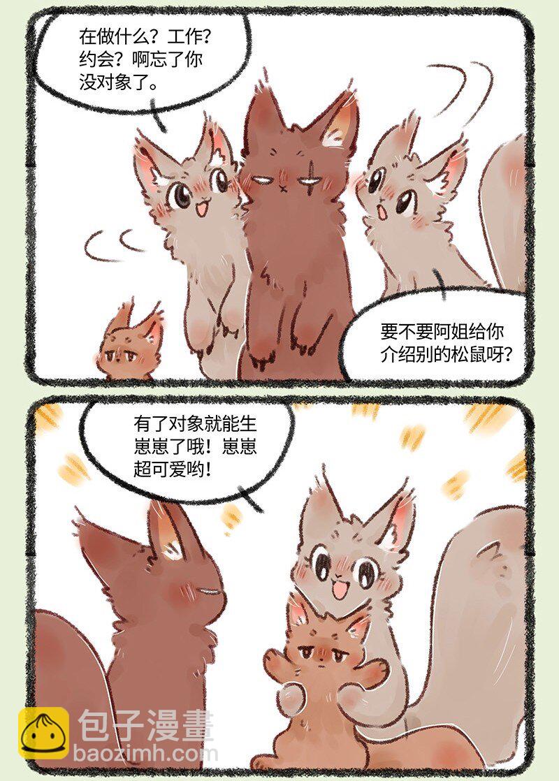 493 松鼠大哥的近况2