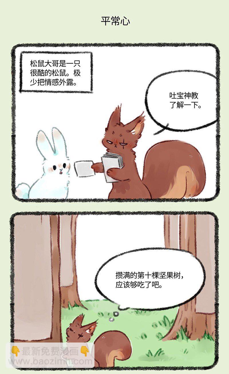 493 松鼠大哥的近况4