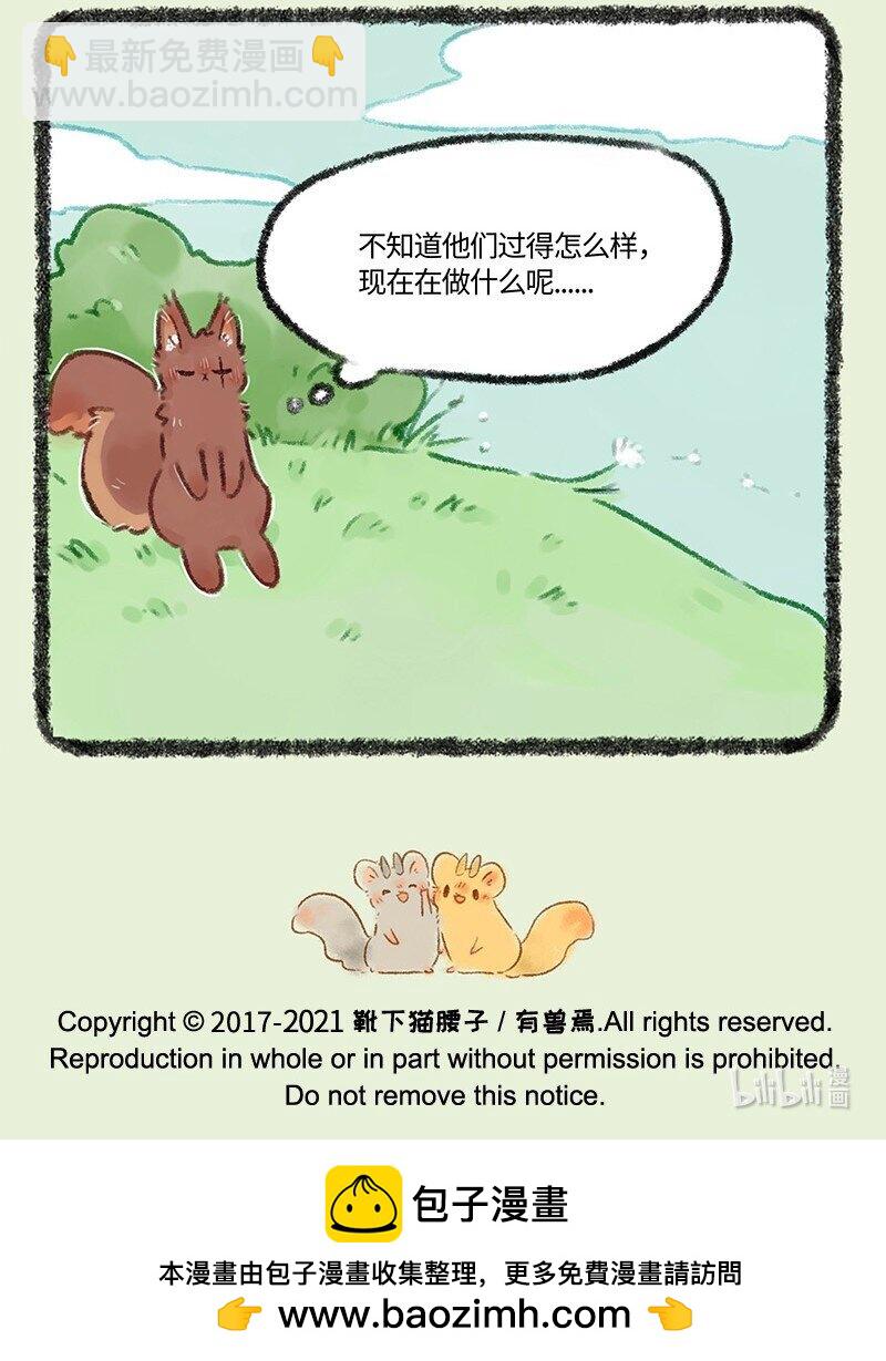 493 松鼠大哥的近况6