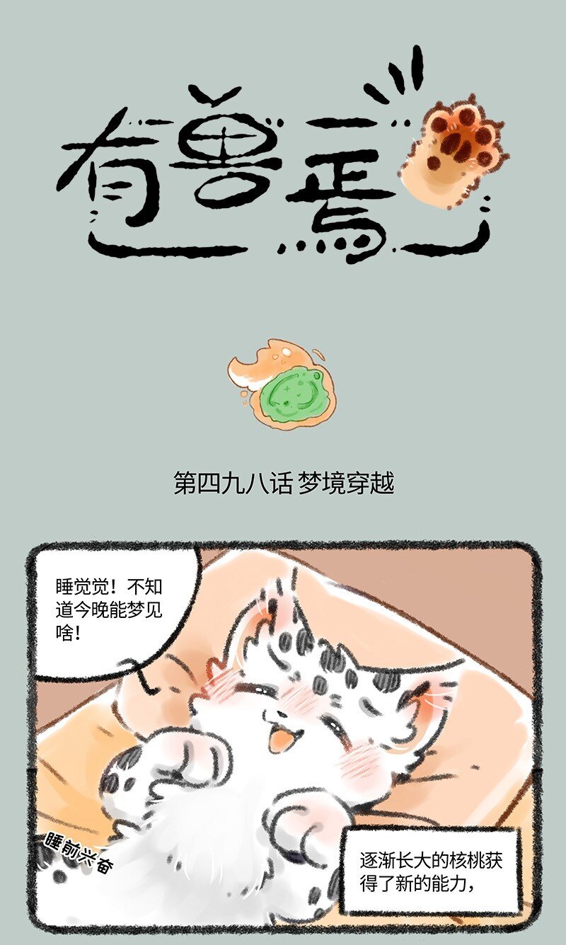 498 核桃的新能力0
