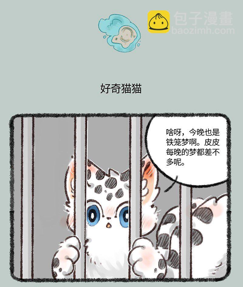 498 核桃的新能力3