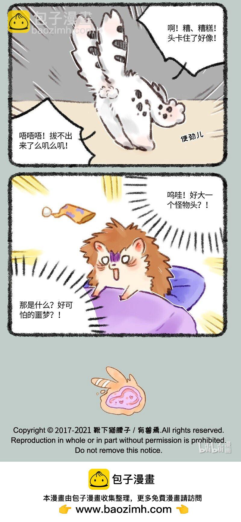 498 核桃的新能力5