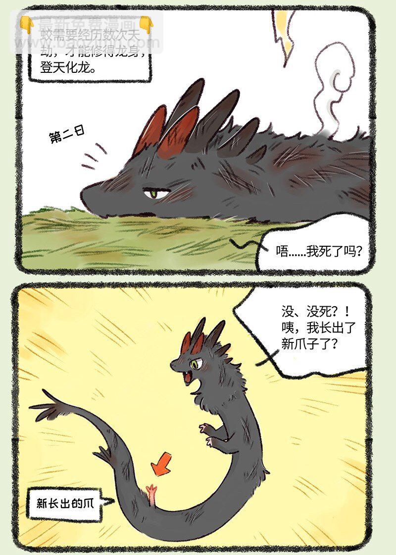 503 天劫降临5