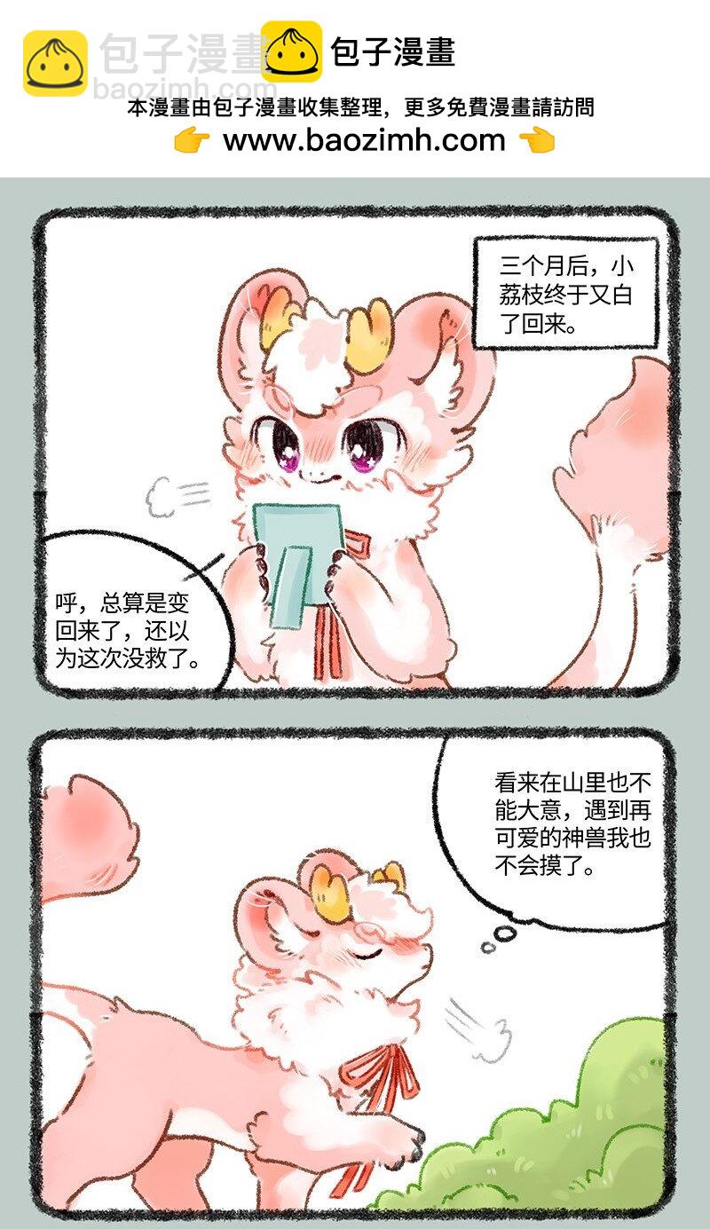 510 天降白犬1