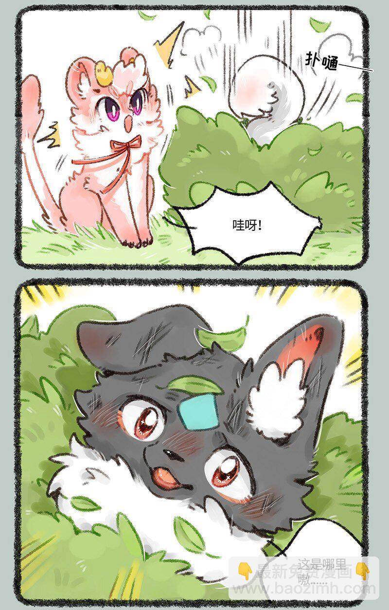 510 天降白犬2