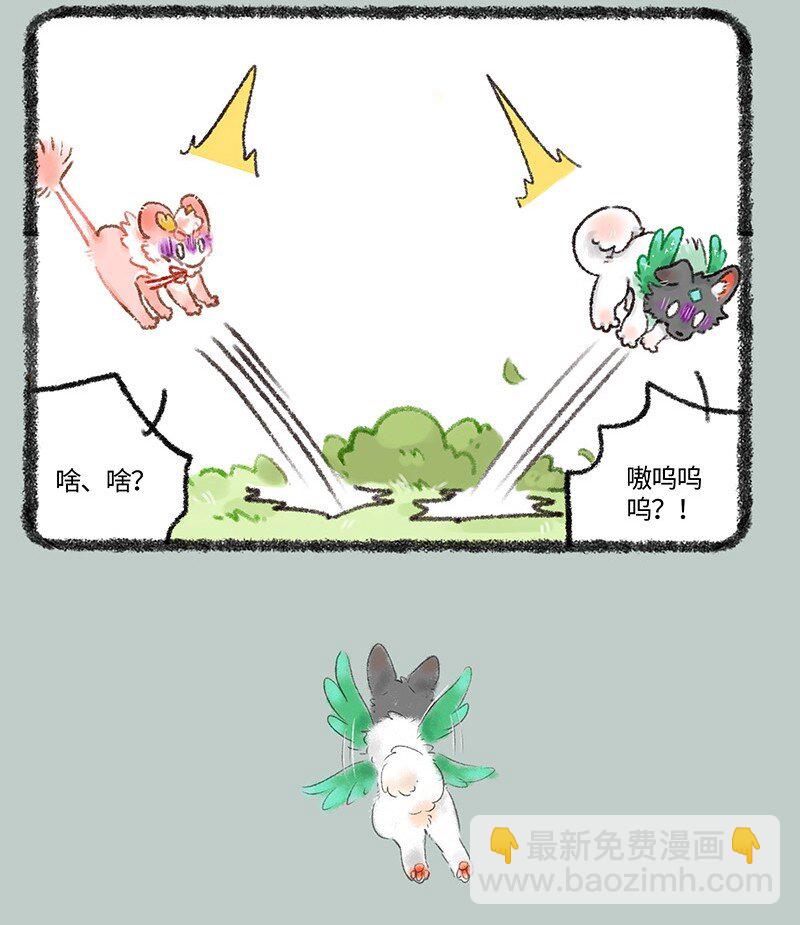 510 天降白犬3