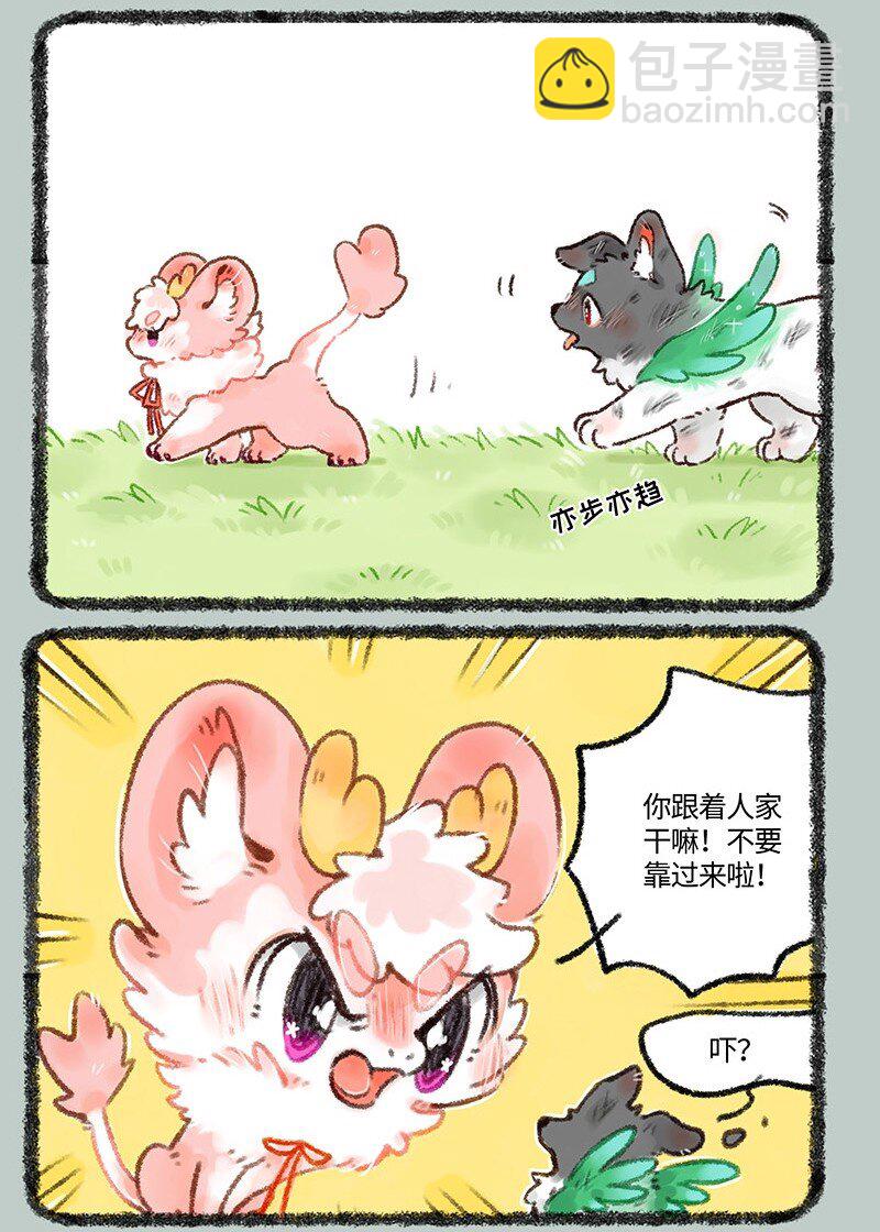 510 天降白犬5