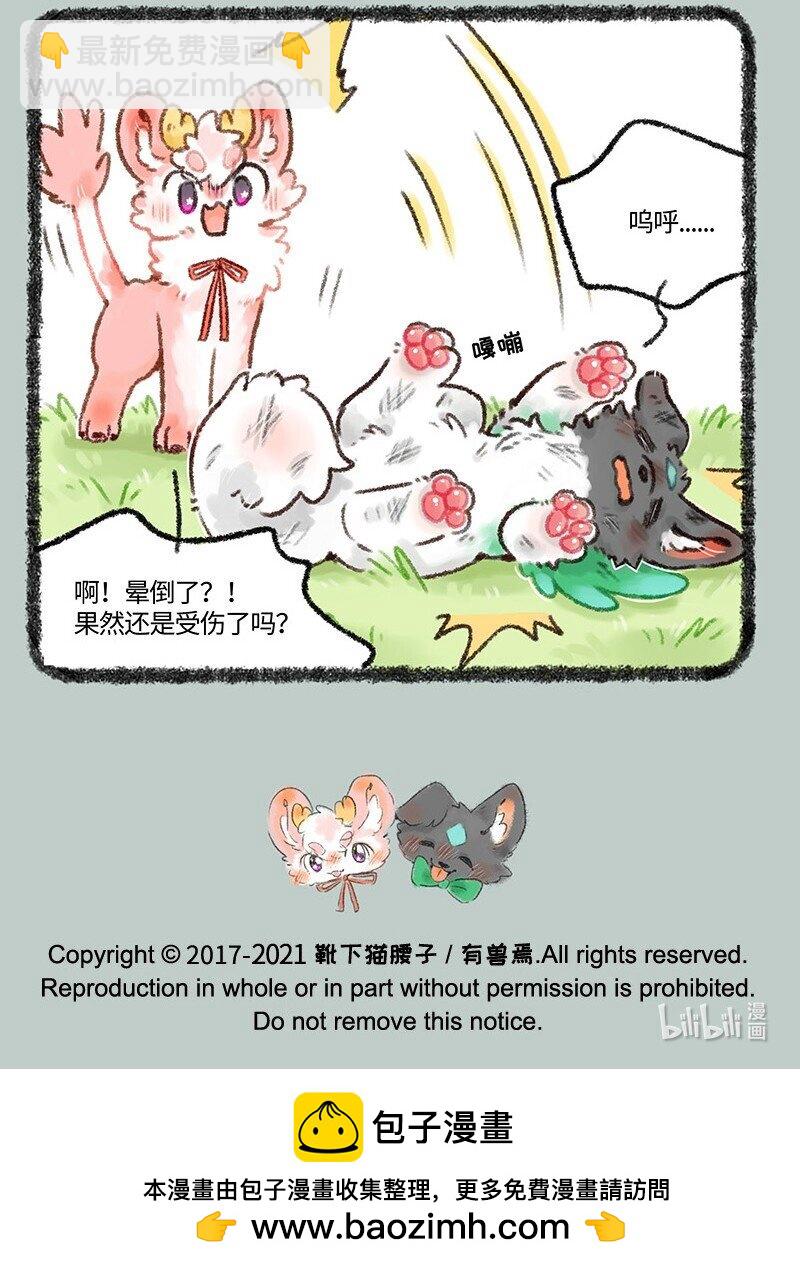 510 天降白犬6