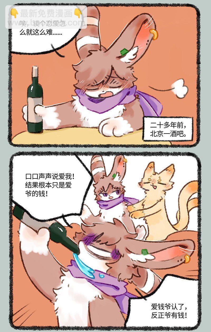 515 有缘千里来相会2