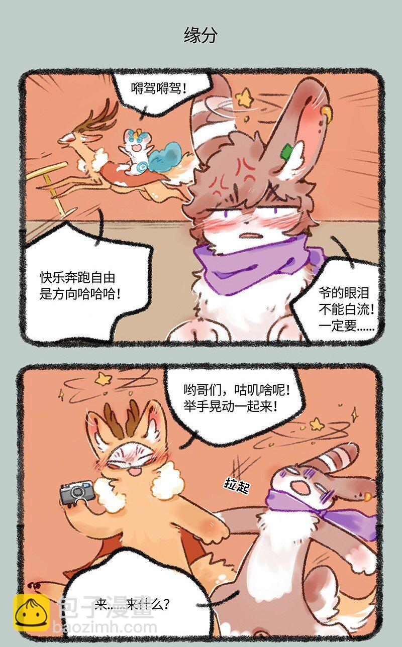515 有缘千里来相会4