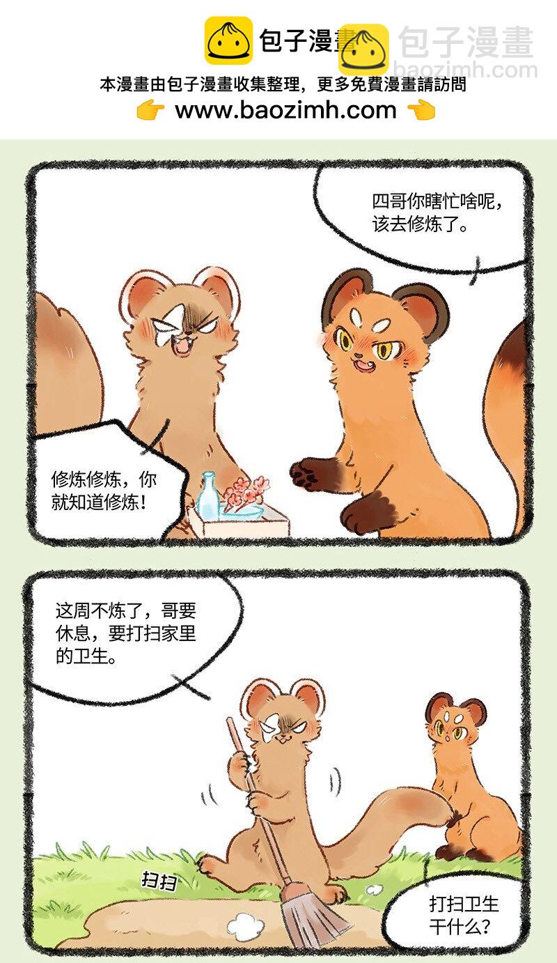 517 此家人非彼佳人1
