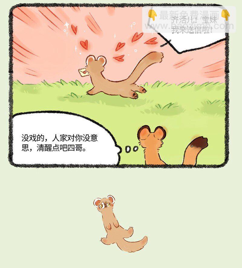 517 此家人非彼佳人3