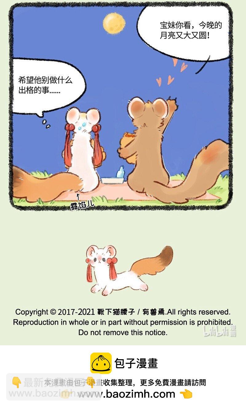 517 此家人非彼佳人6