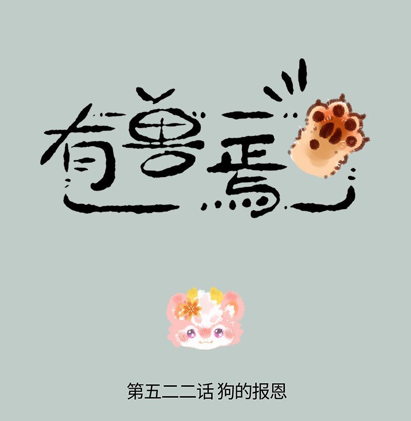 522 壮壮的心意0