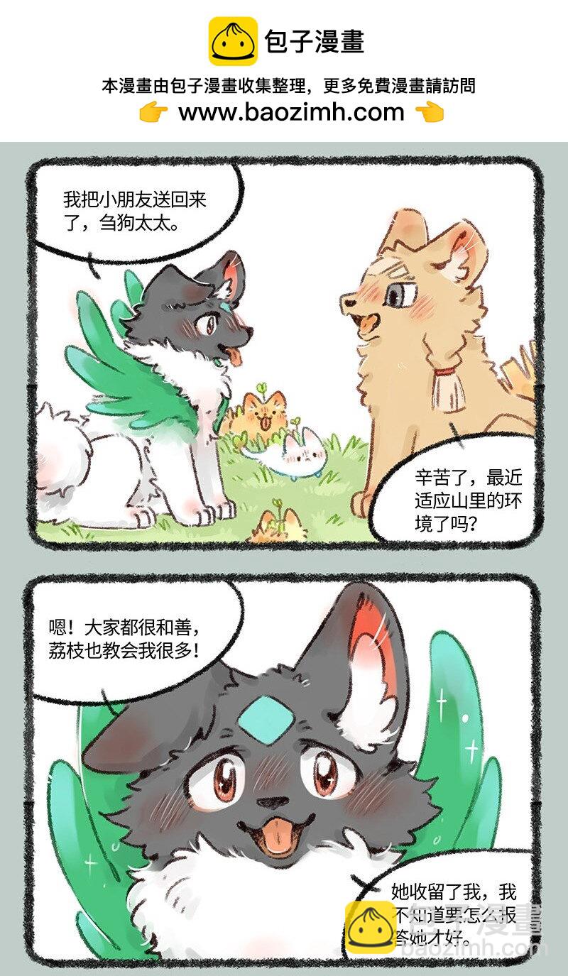 522 壮壮的心意1