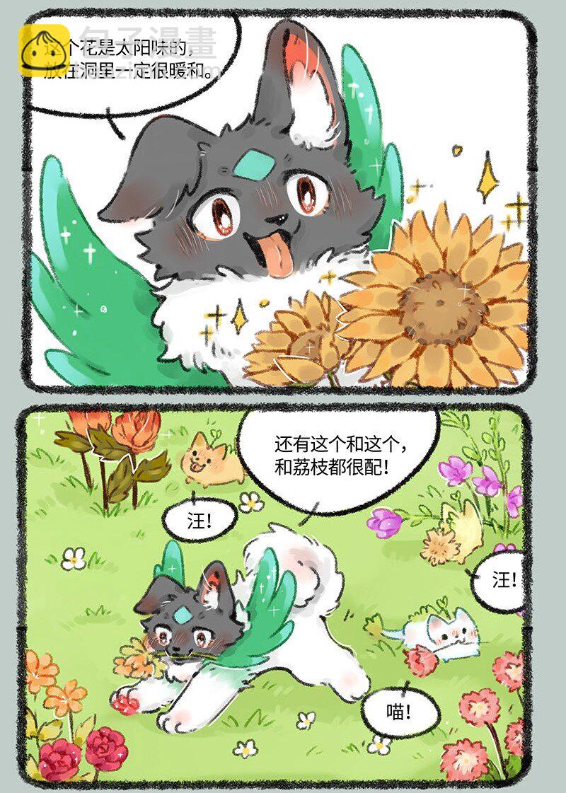 522 壮壮的心意5