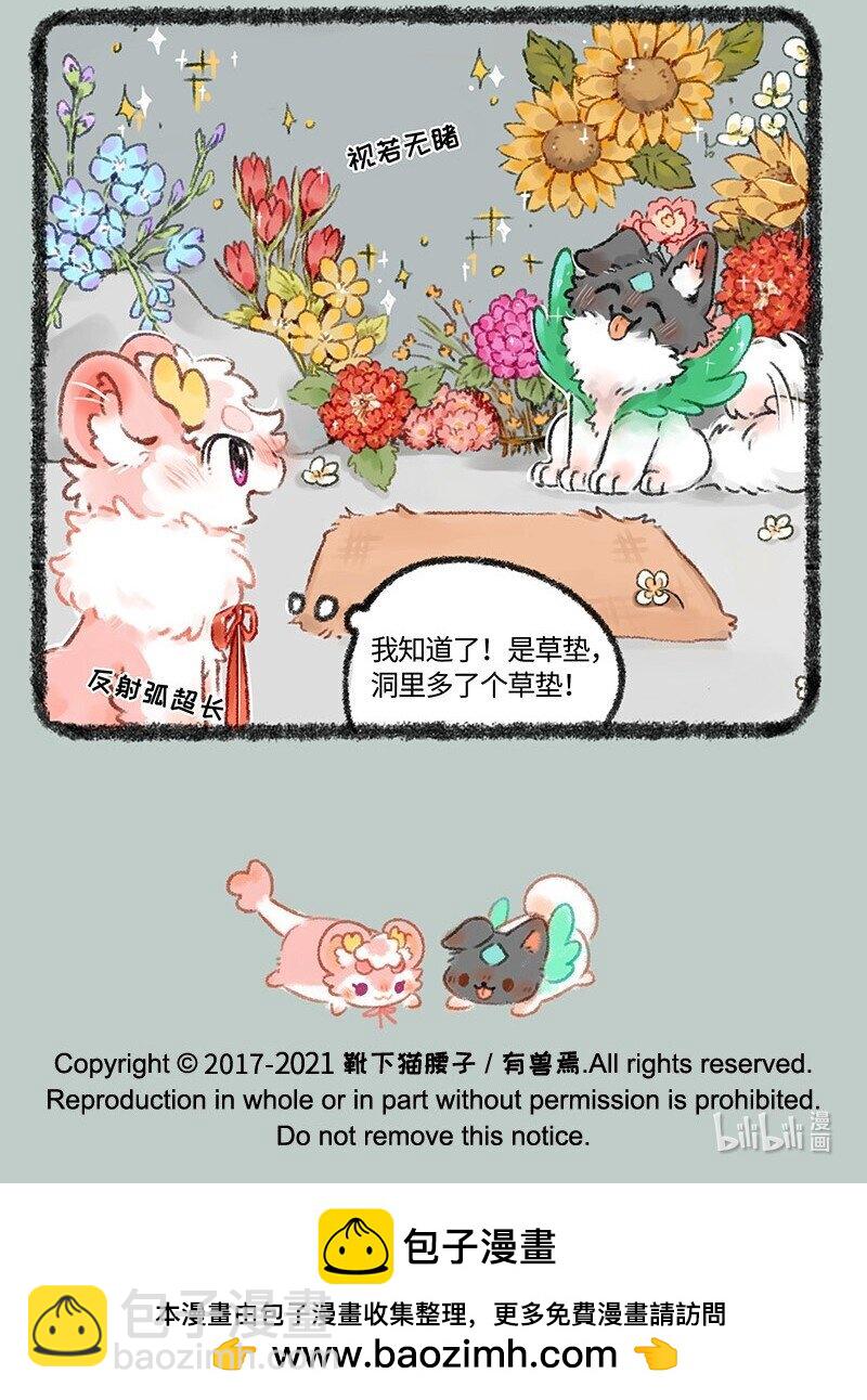 522 壮壮的心意6