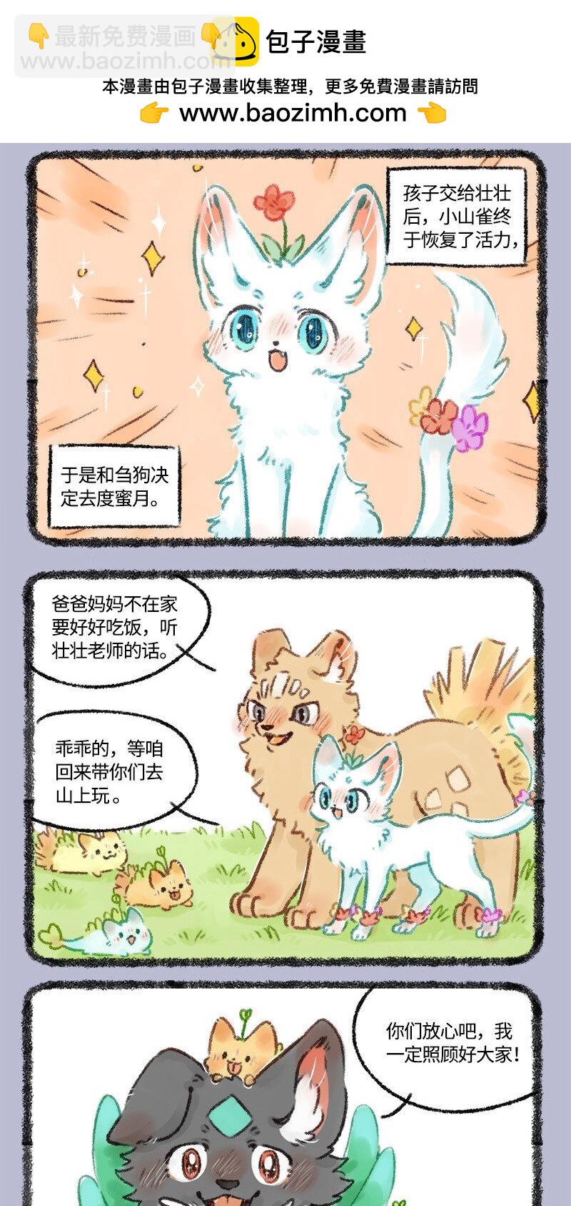 530 蜜月之旅1
