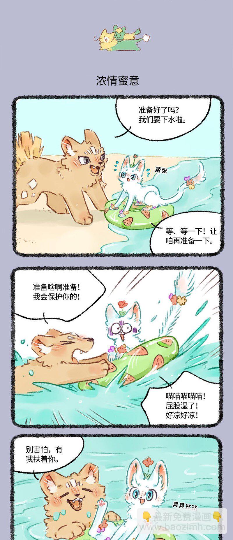 530 蜜月之旅3