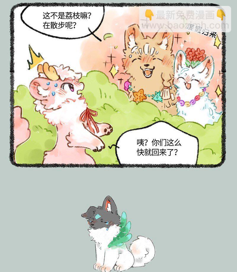 531 壮壮牌隔离罩3