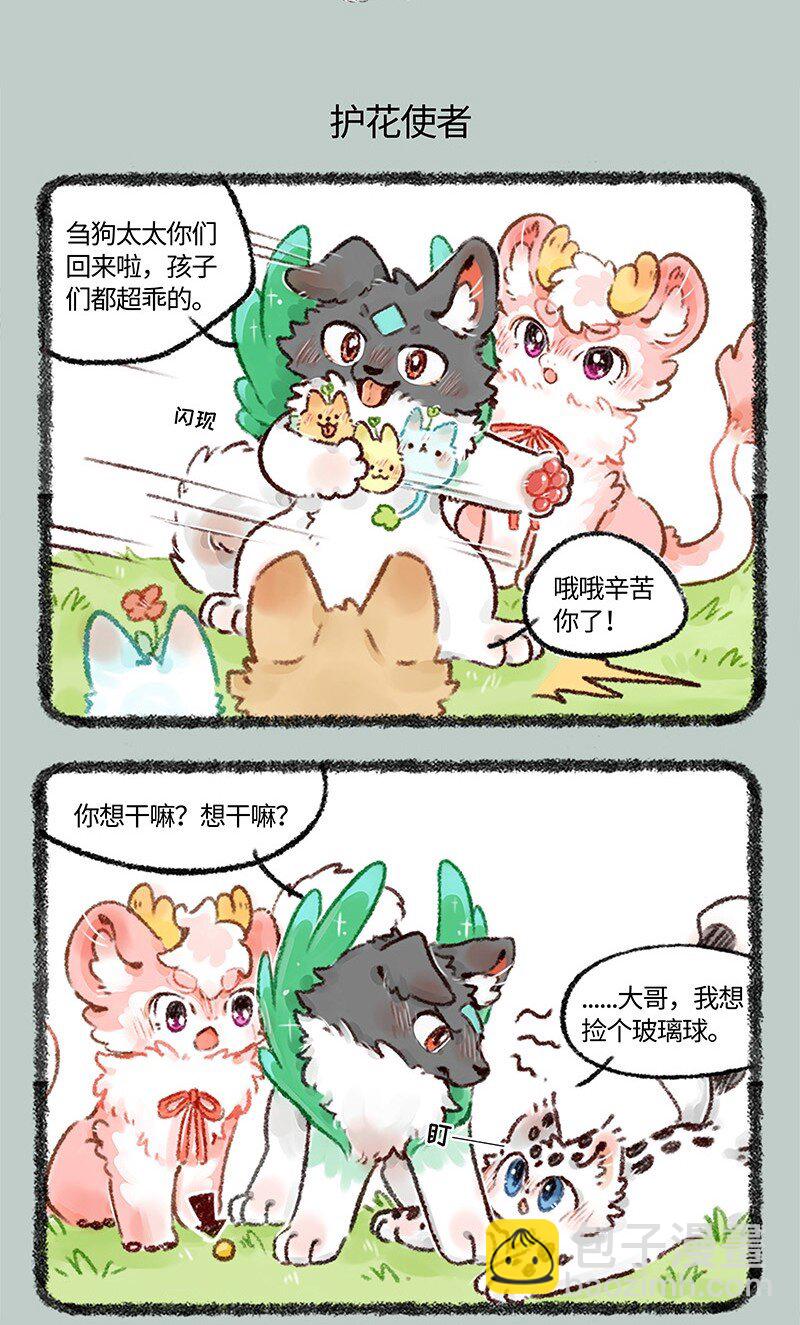 531 壮壮牌隔离罩4