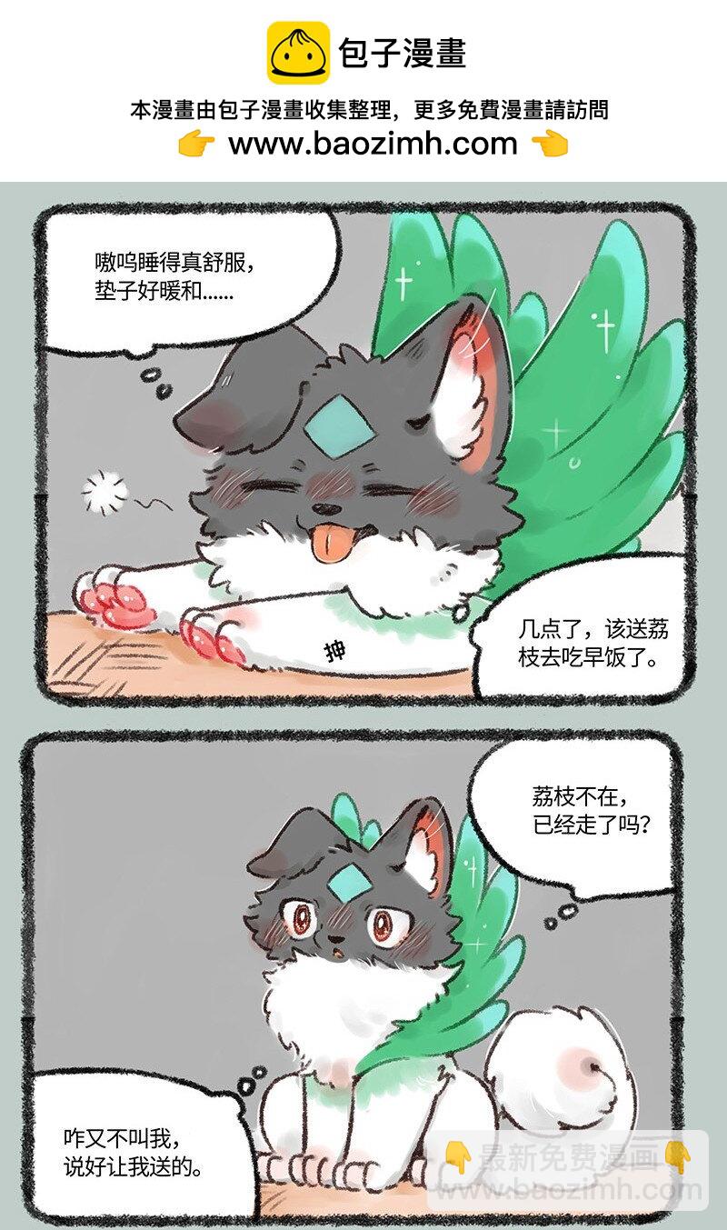 537 小荔枝相亲记1