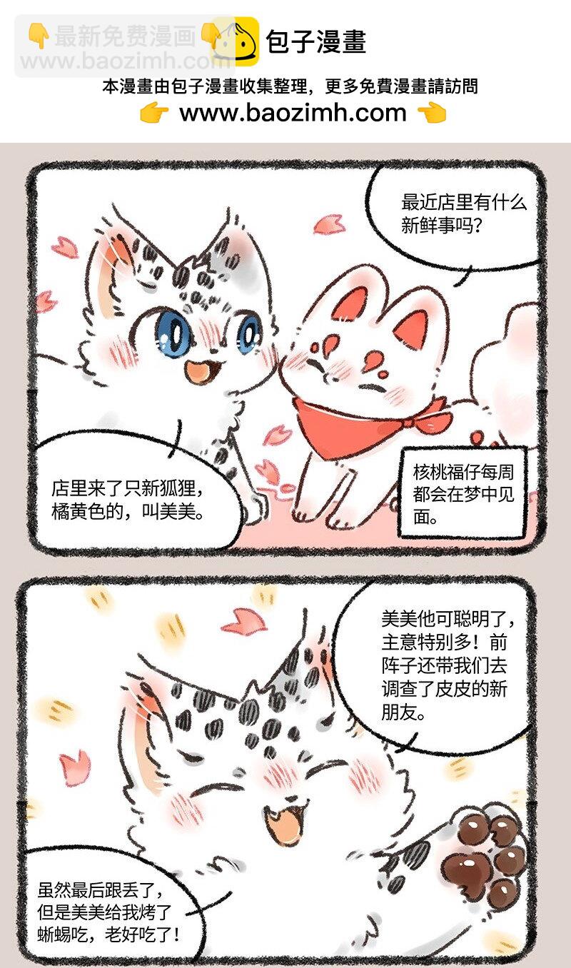 552 被狐狸包围的核桃1