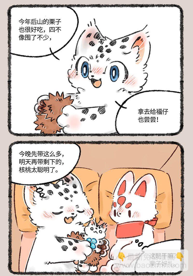 552 被狐狸包围的核桃5