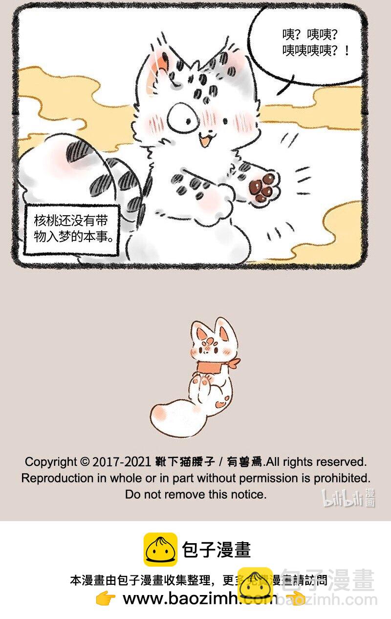 552 被狐狸包围的核桃6