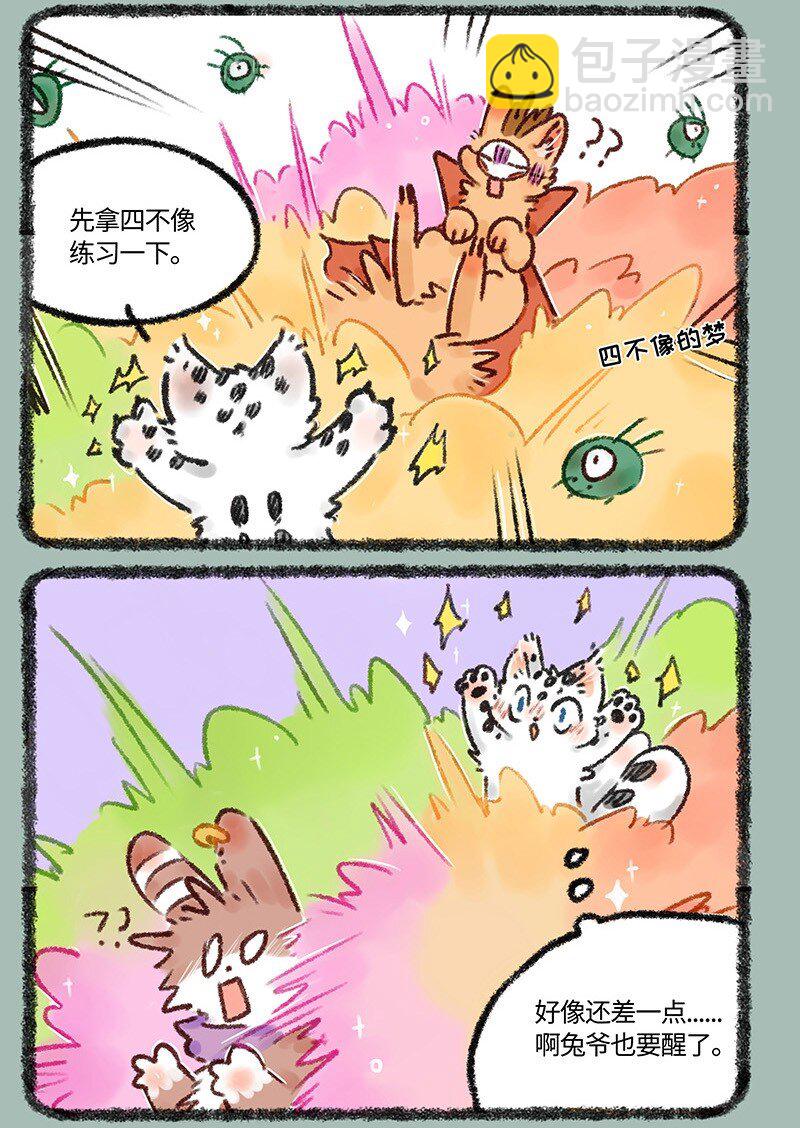 553 送给福仔的礼物2