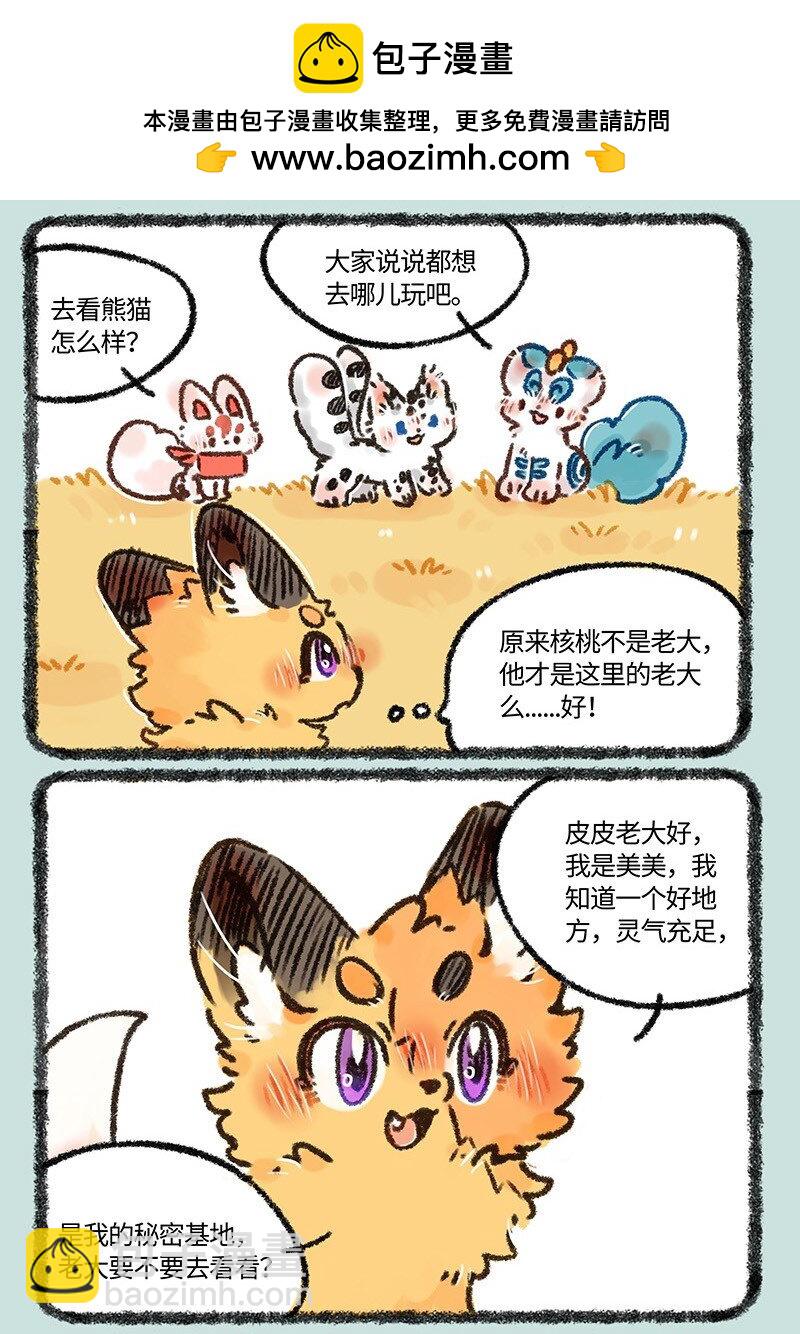 557 美美的秘密基地1