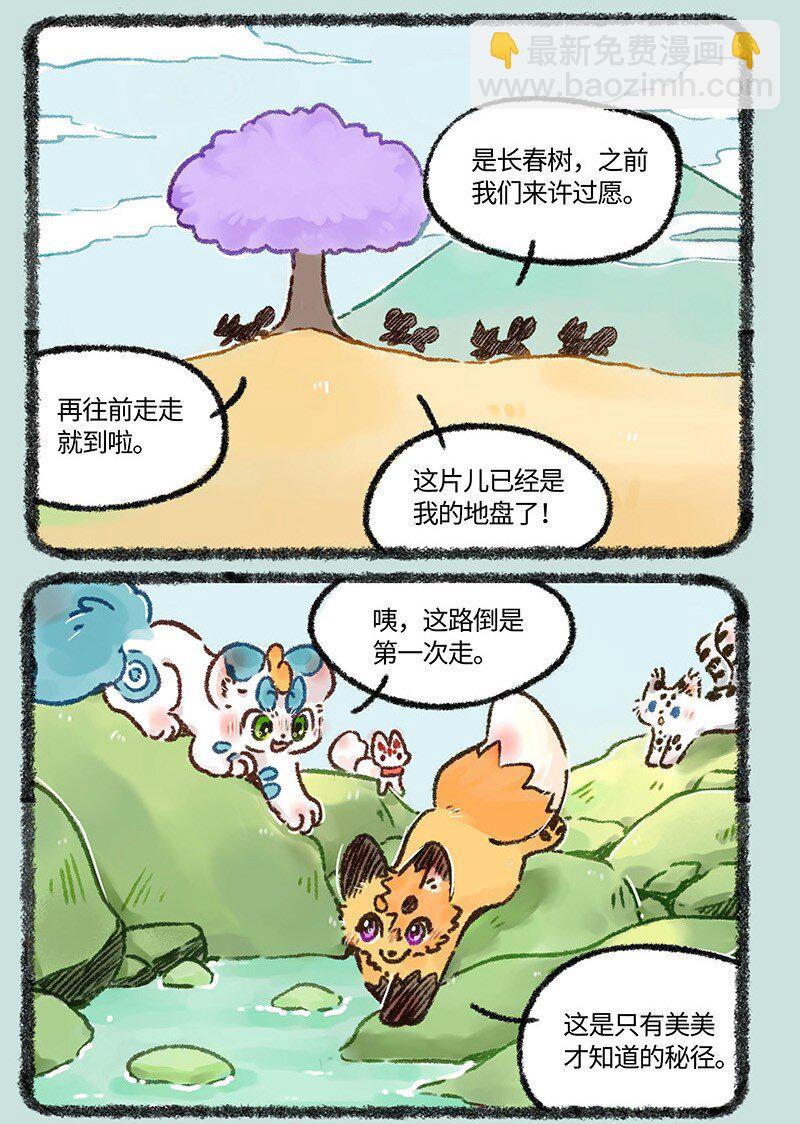 557 美美的秘密基地4